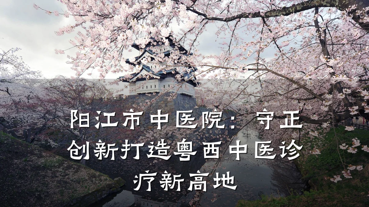 阳江市中医院:守正创新打造粤西中医诊疗新高地