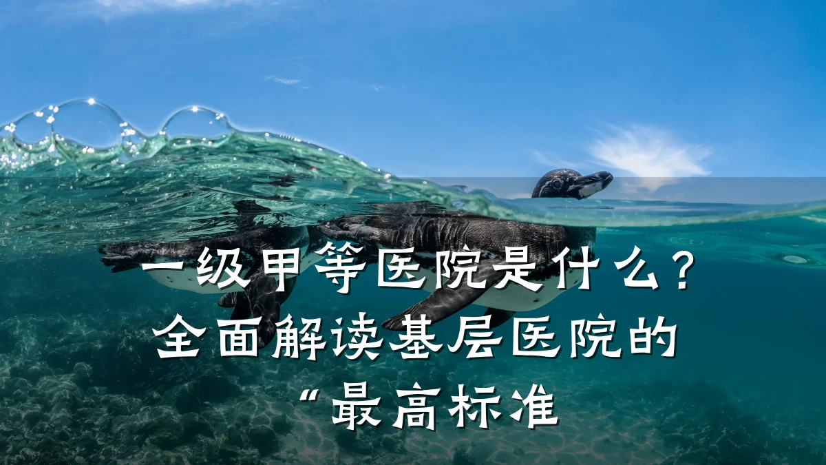 一级甲等医院是什么？全面解读基层医院的“最高标准