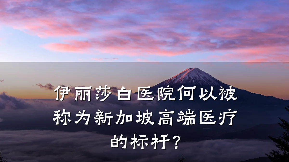 伊丽莎白医院何以被称为新加坡高端医疗的标杆?