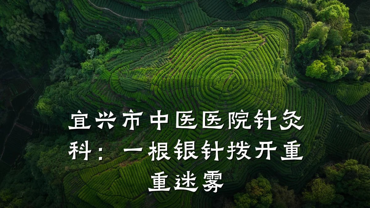 宜兴市中医医院针灸科:一根银针拨开重重迷雾