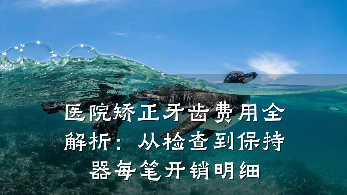 医院矫正牙齿费用全解析:从检查到保持器每笔开销明细