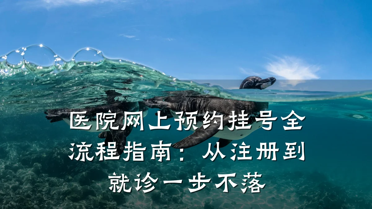 医院网上预约挂号全流程指南:从注册到就诊一步不落