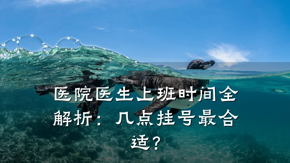 医院医生上班时间全解析:几点挂号最合适?