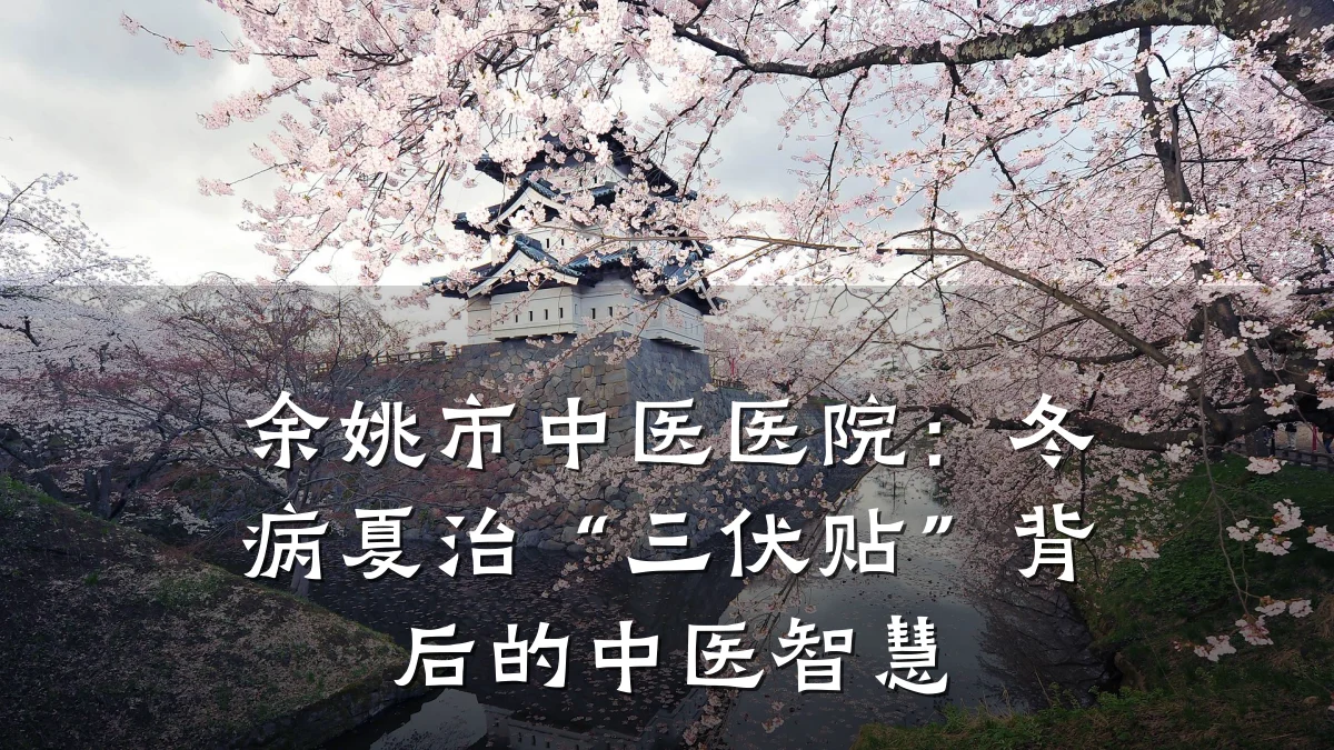 余姚市中医医院:冬病夏治“三伏贴”背后的中医智慧