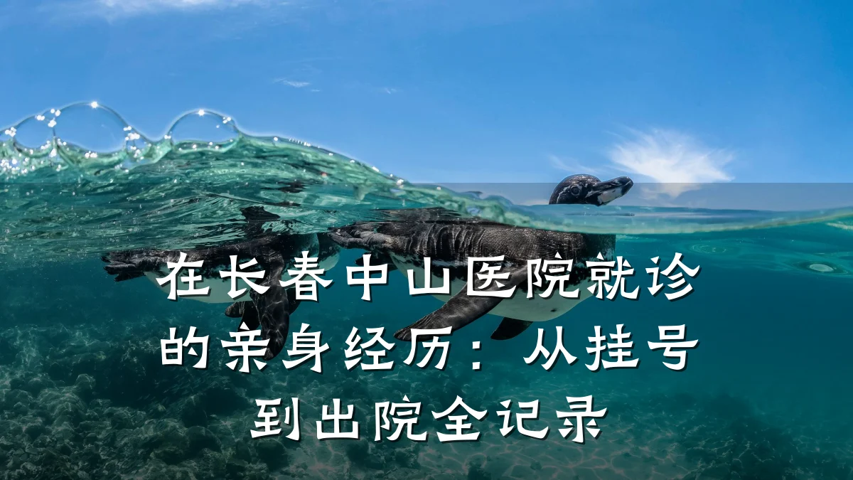 在长春中山医院就诊的亲身经历:从挂号到出院全记录
