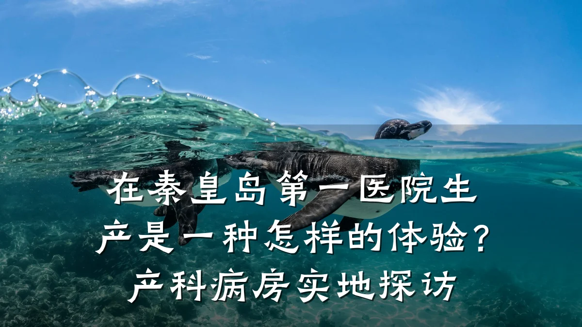 在秦皇岛第一医院生产是一种怎样的体验?产科病房实地探访