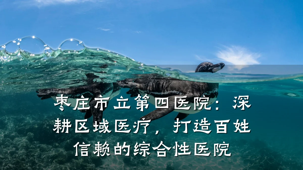 枣庄市立第四医院：深耕区域医疗，打造百姓信赖的综合性医院