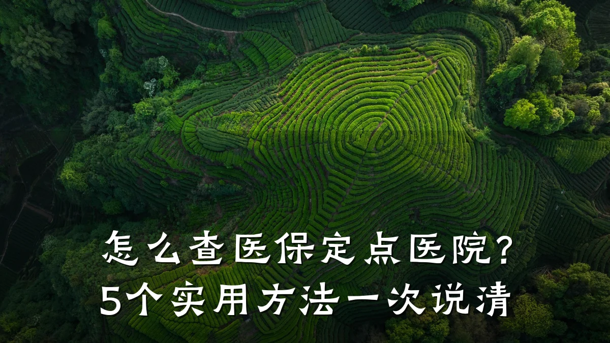 怎么查医保定点医院?5个实用方法一次说清