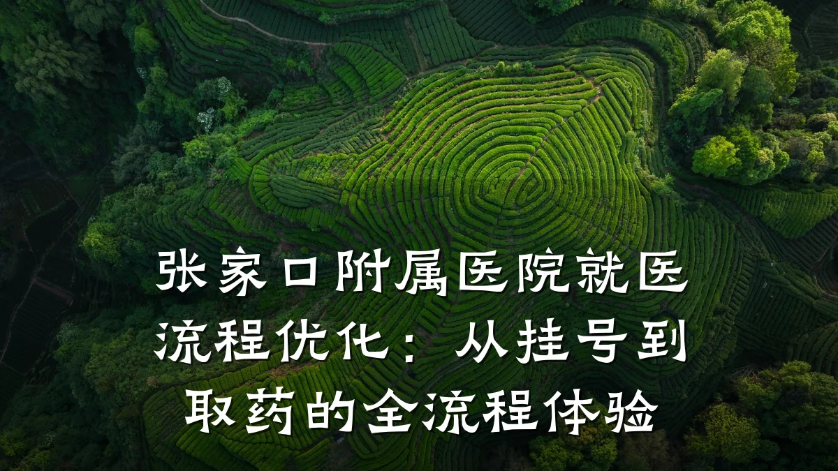 张家口附属医院就医流程优化：从挂号到取药的全流程体验