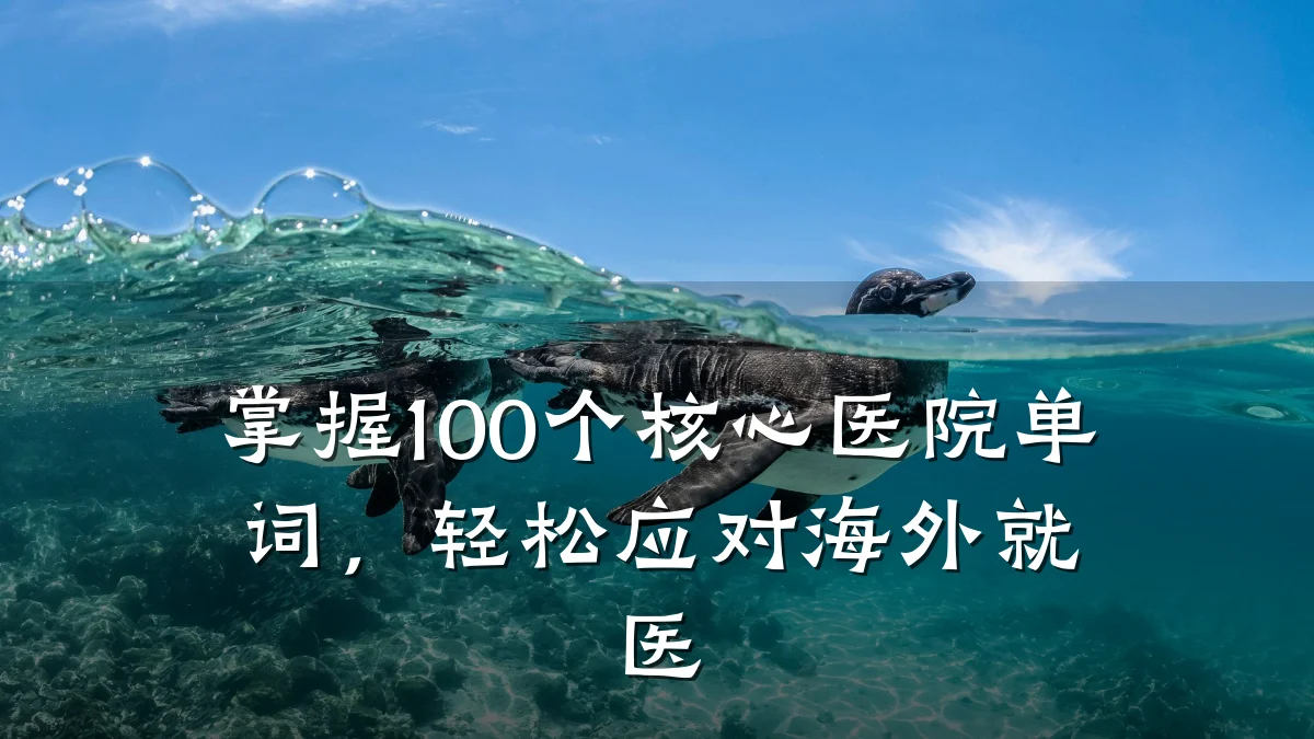 掌握100个核心医院单词，轻松应对海外就医