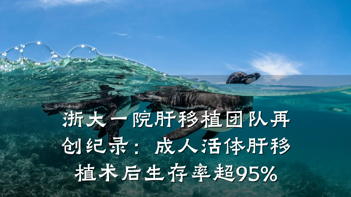 浙大一院肝移植团队再创纪录:成人活体肝移植术后生存率超95%