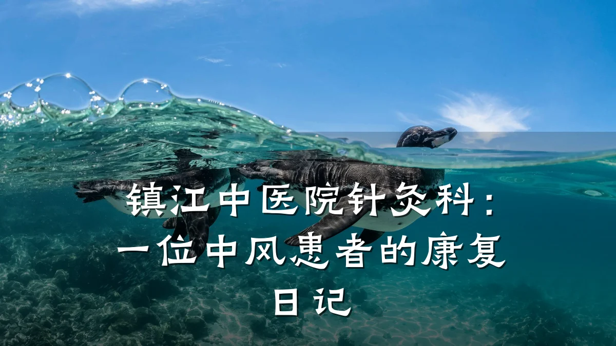 镇江中医院针灸科:一位中风患者的康复日记