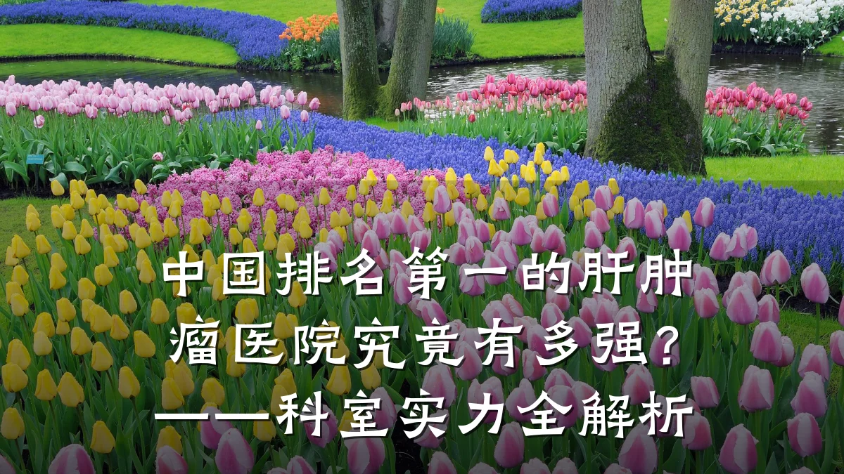 中国排名第一的肝肿瘤医院究竟有多强?——科室实力全解析
