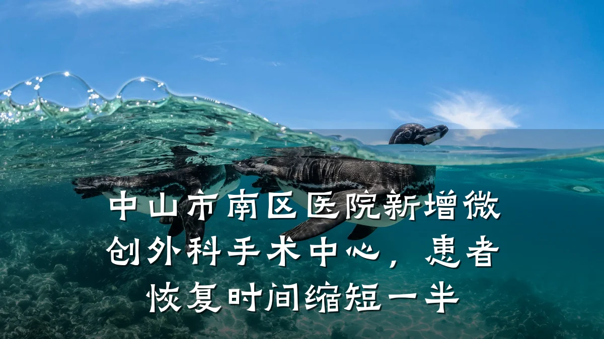 中山市南区医院新增微创外科手术中心,患者恢复时间缩短一半
