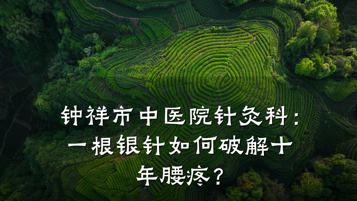钟祥市中医院针灸科:一根银针如何破解十年腰疼?