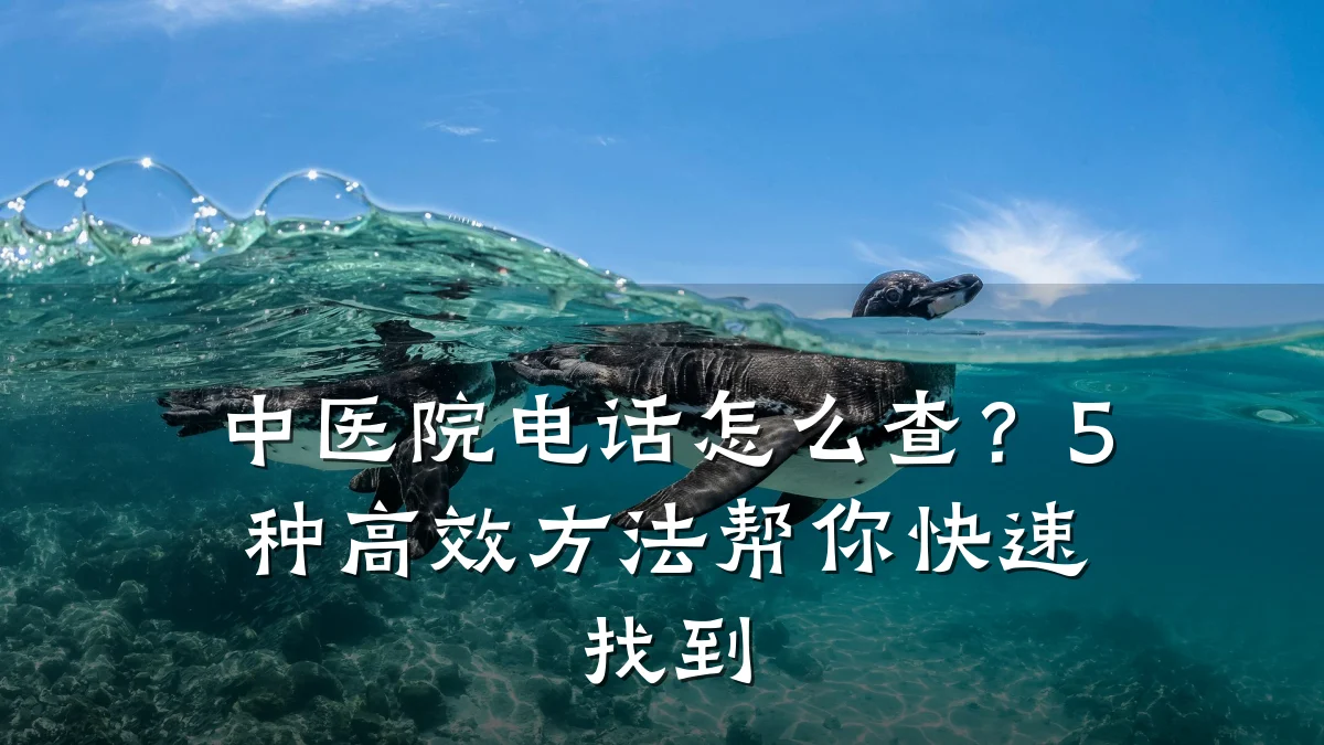 中医院电话怎么查?5种高效方法帮你快速找到
