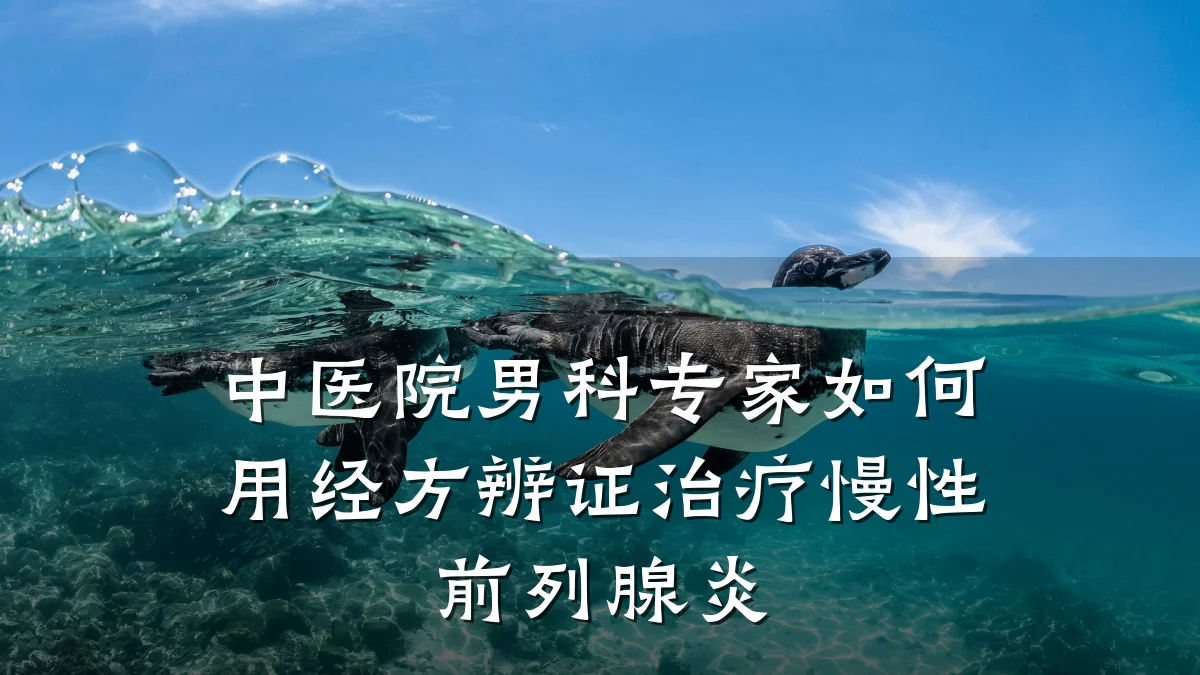 中医院男科专家如何用经方辨证治疗慢性前列腺炎