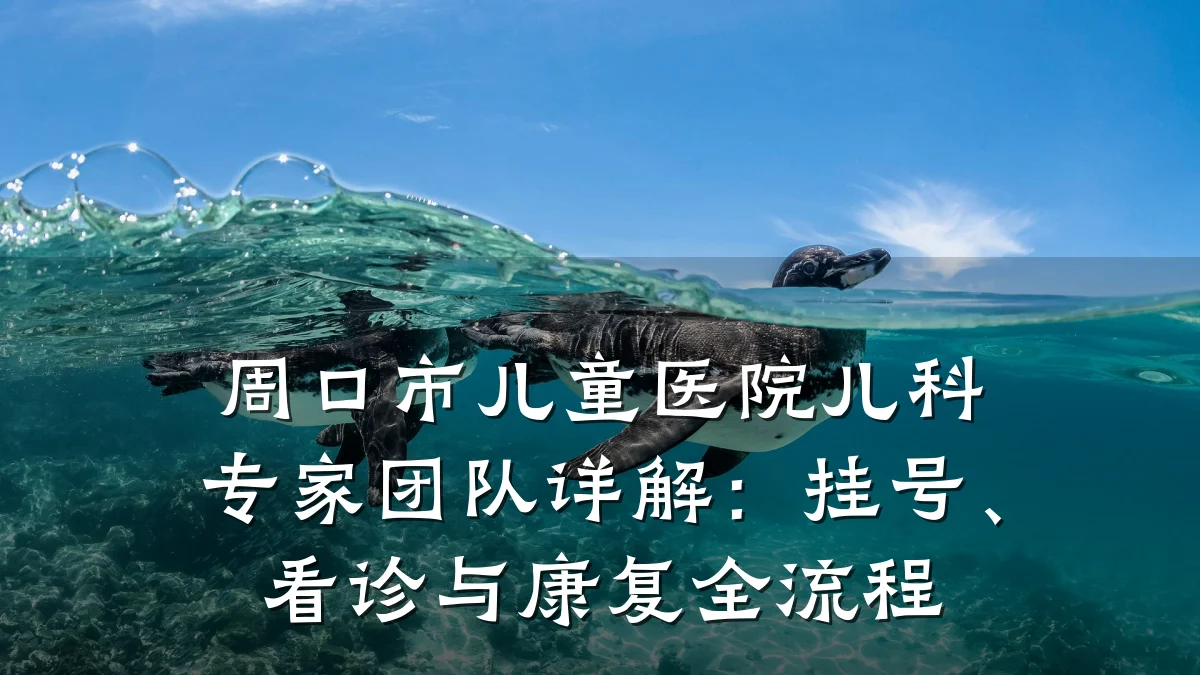 周口市儿童医院儿科专家团队详解:挂号、看诊与康复全流程