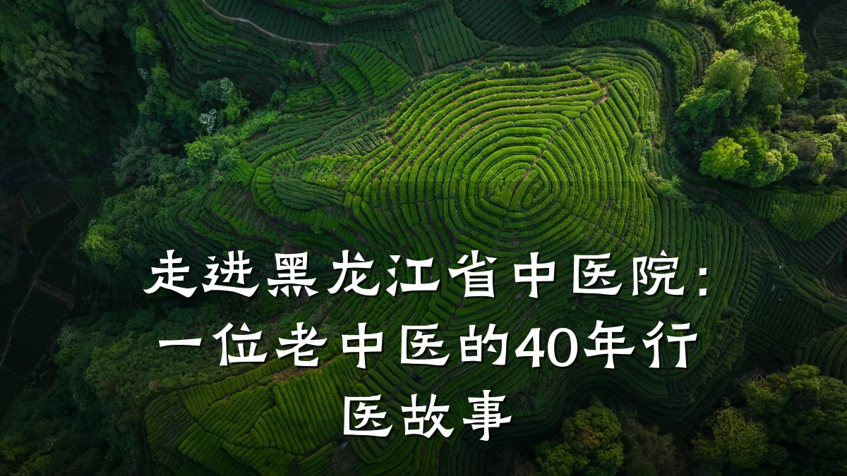 走进黑龙江省中医院:一位老中医的40年行医故事