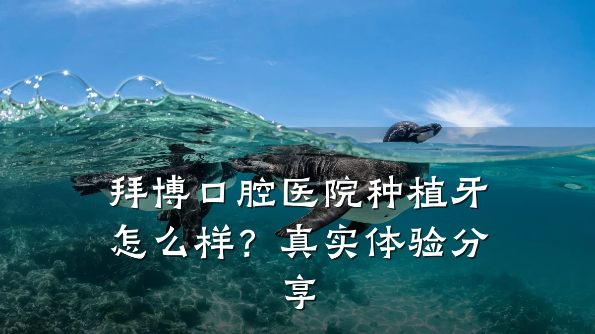 拜博口腔医院种植牙怎么样?真实体验分享