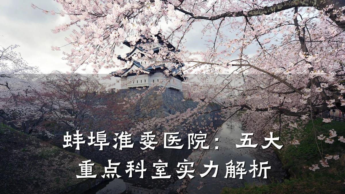 蚌埠淮委医院:五大重点科室实力解析