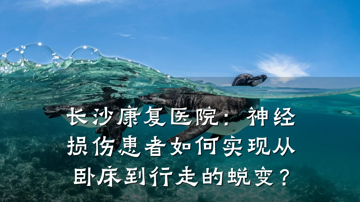 长沙康复医院:神经损伤患者如何实现从卧床到行走的蜕变?