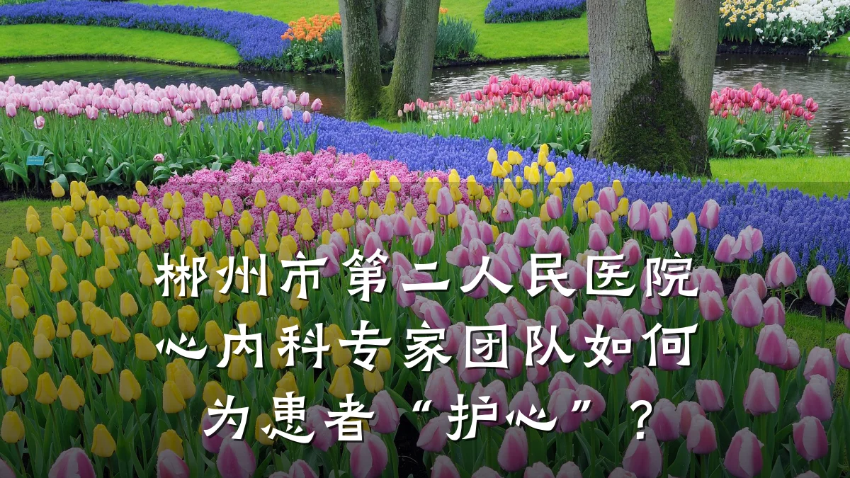 郴州市第二人民医院心内科专家团队如何为患者“护心”?