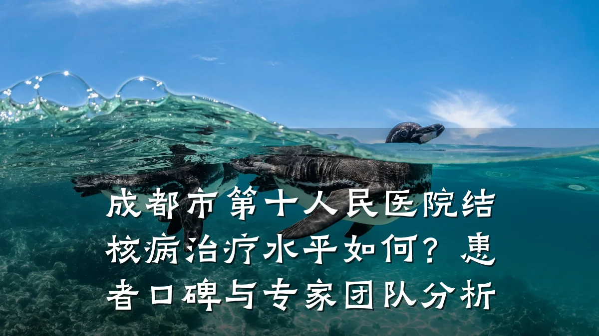 成都市第十人民医院结核病治疗水平如何？患者口碑与专家团队分析
