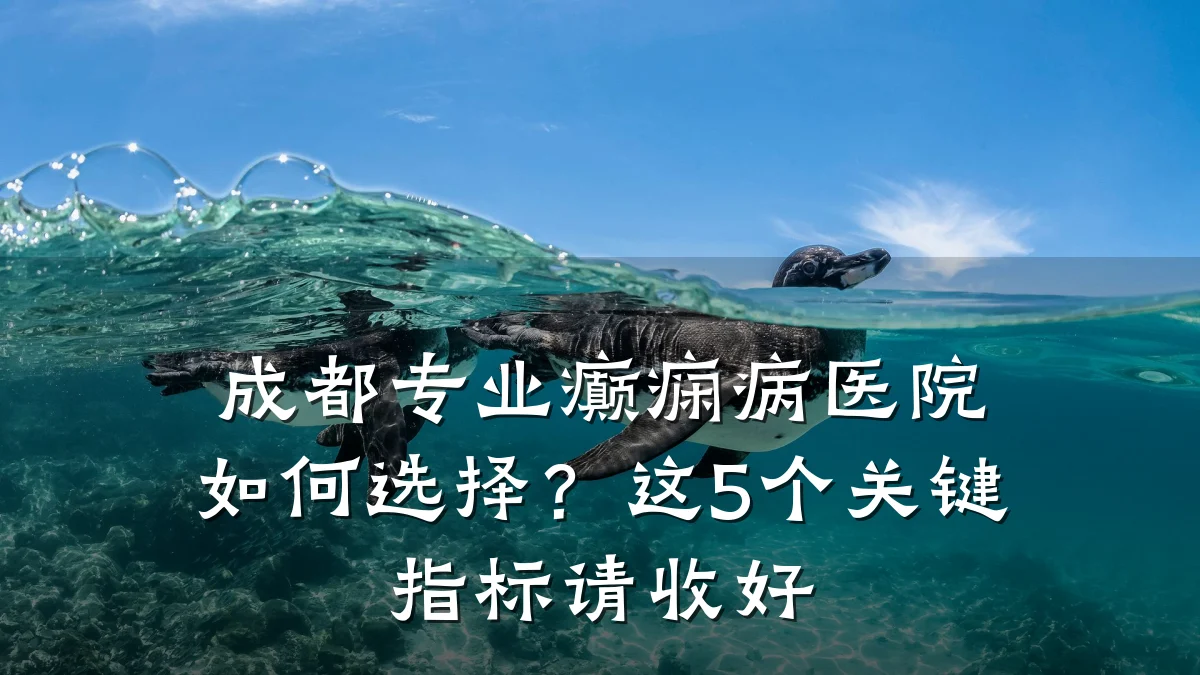 成都专业癫痫病医院如何选择?这5个关键指标请收好
