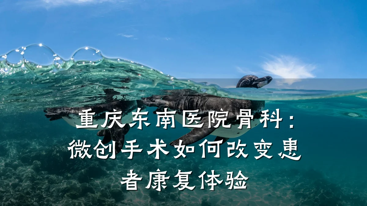 重庆东南医院骨科:微创手术如何改变患者康复体验