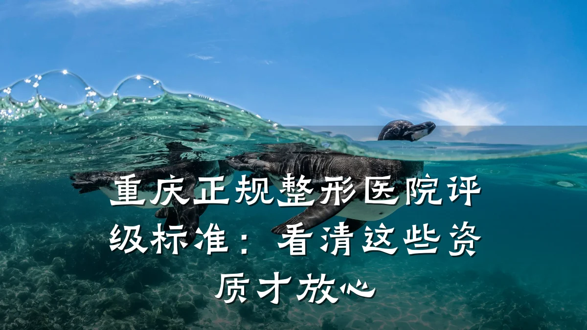 重庆正规整形医院评级标准：看清这些资质才放心