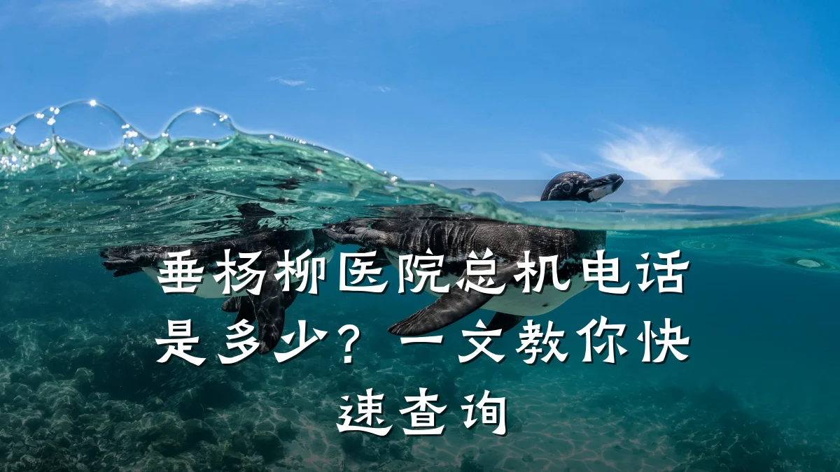 垂杨柳医院总机电话是多少?一文教你快速查询