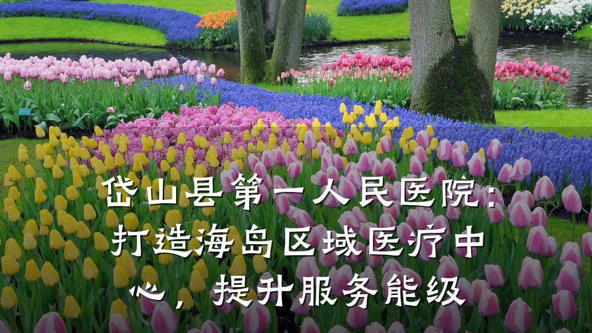 岱山县第一人民医院:打造海岛区域医疗中心,提升服务能级