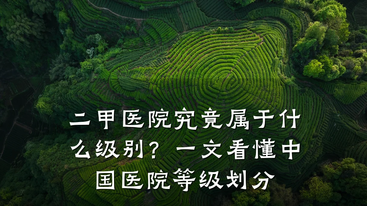 二甲医院究竟属于什么级别？一文看懂中国医院等级划分