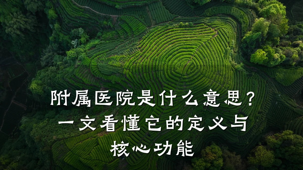 附属医院是什么意思?一文看懂它的定义与核心功能