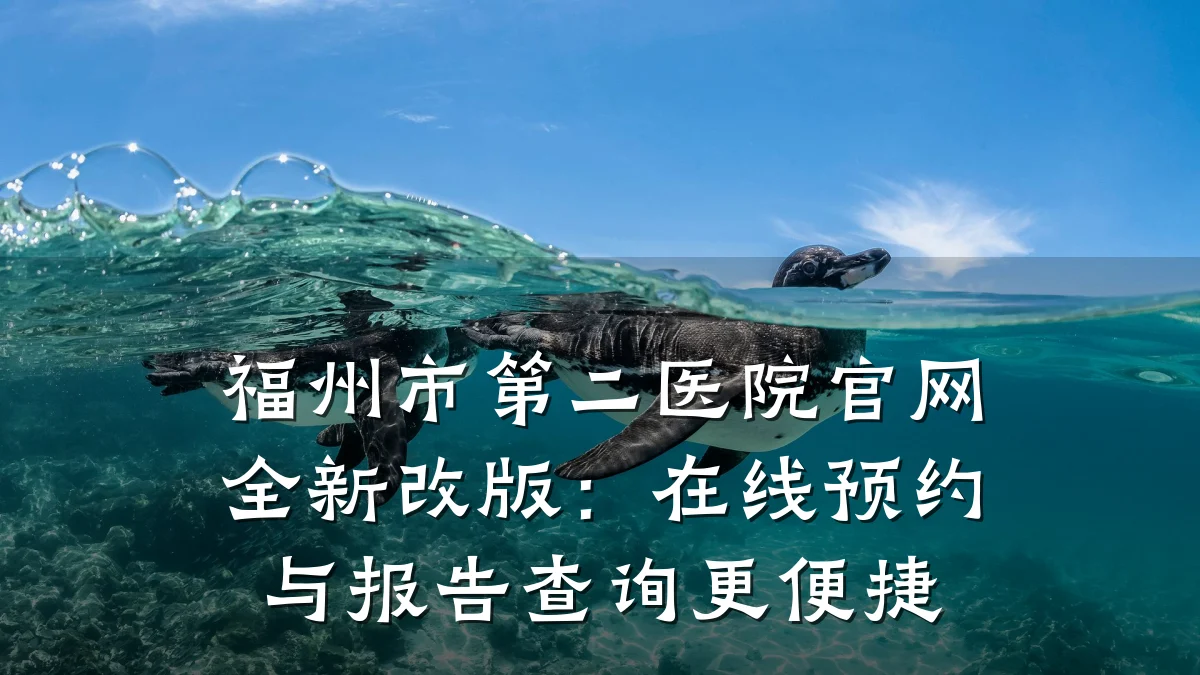 福州市第二医院官网全新改版：在线预约与报告查询更便捷