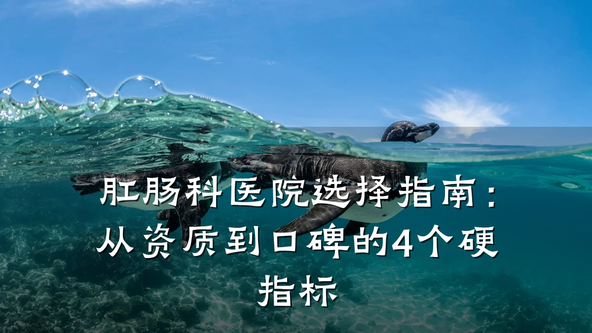 肛肠科医院选择指南:从资质到口碑的4个硬指标