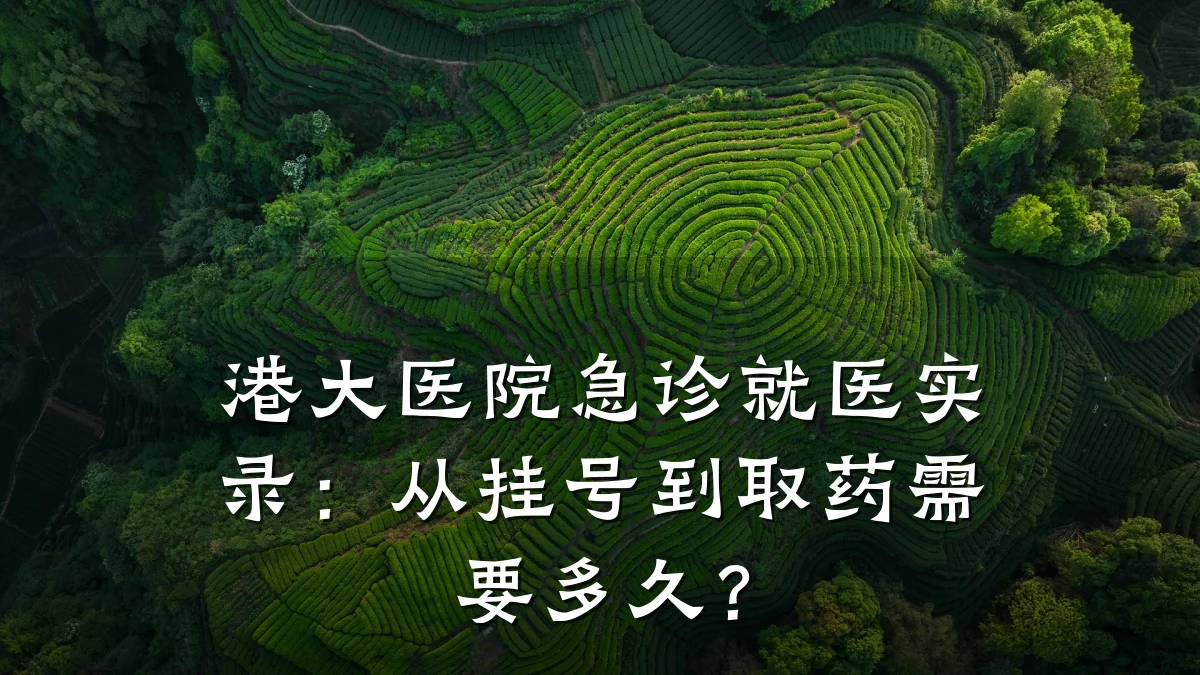 港大医院急诊就医实录:从挂号到取药需要多久?