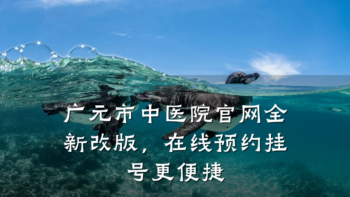广元市中医院官网全新改版，在线预约挂号更便捷