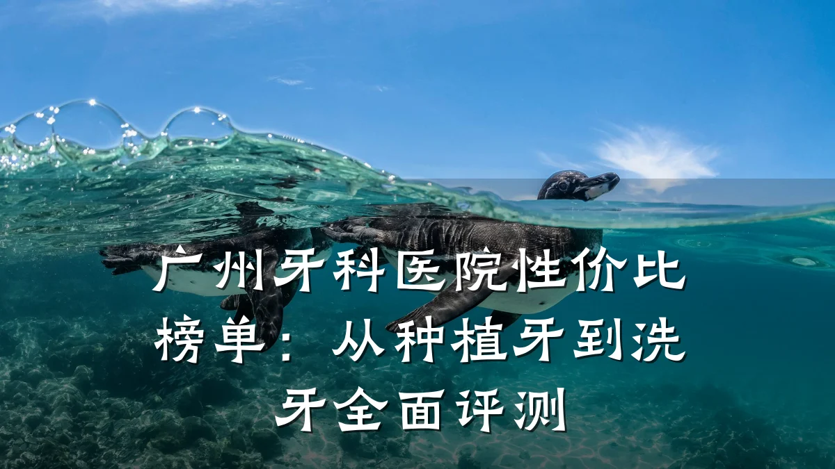 广州牙科医院性价比榜单:从种植牙到洗牙全面评测