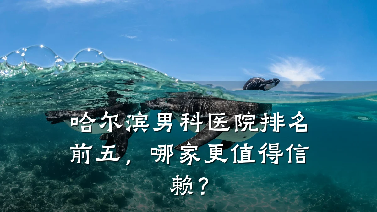 哈尔滨男科医院排名前五,哪家更值得信赖?