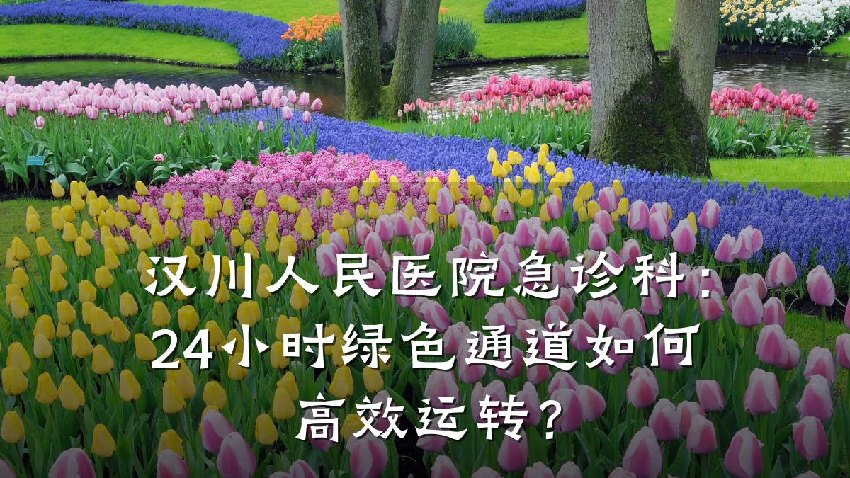 汉川人民医院急诊科:24小时绿色通道如何高效运转?