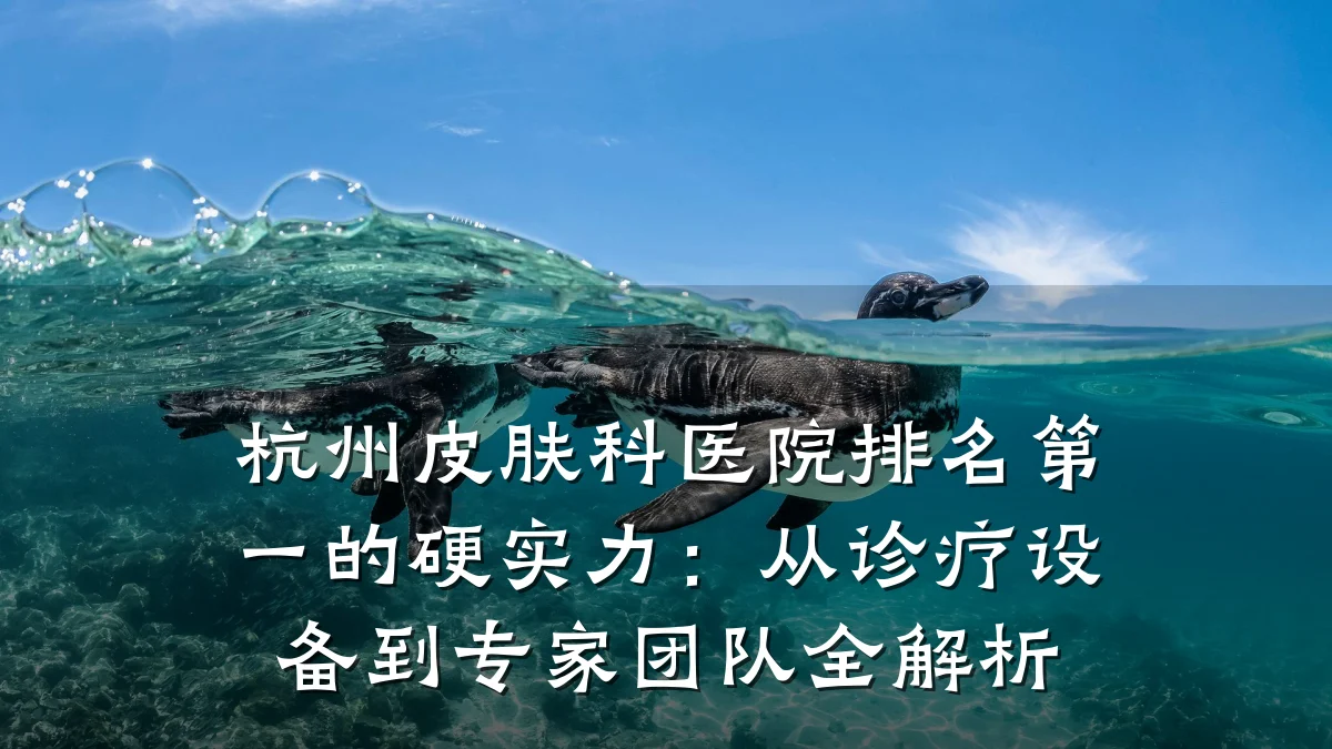 杭州皮肤科医院排名第一的硬实力:从诊疗设备到专家团队全解析
