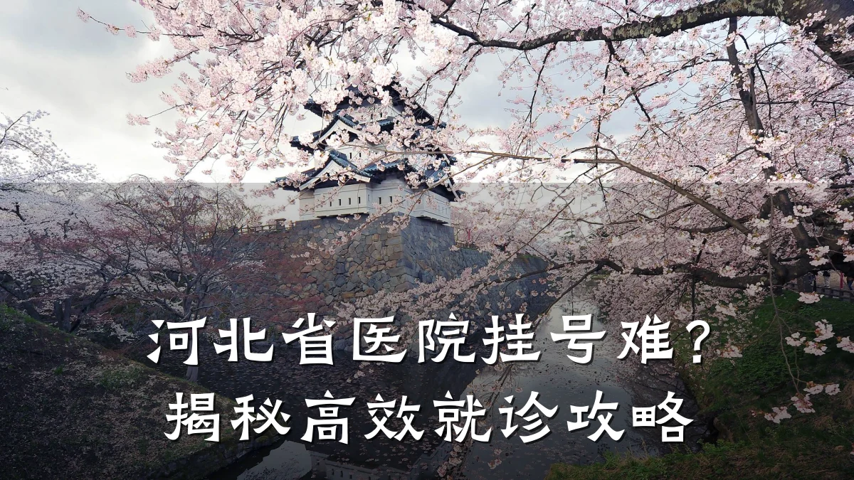 河北省医院挂号难？揭秘高效就诊攻略