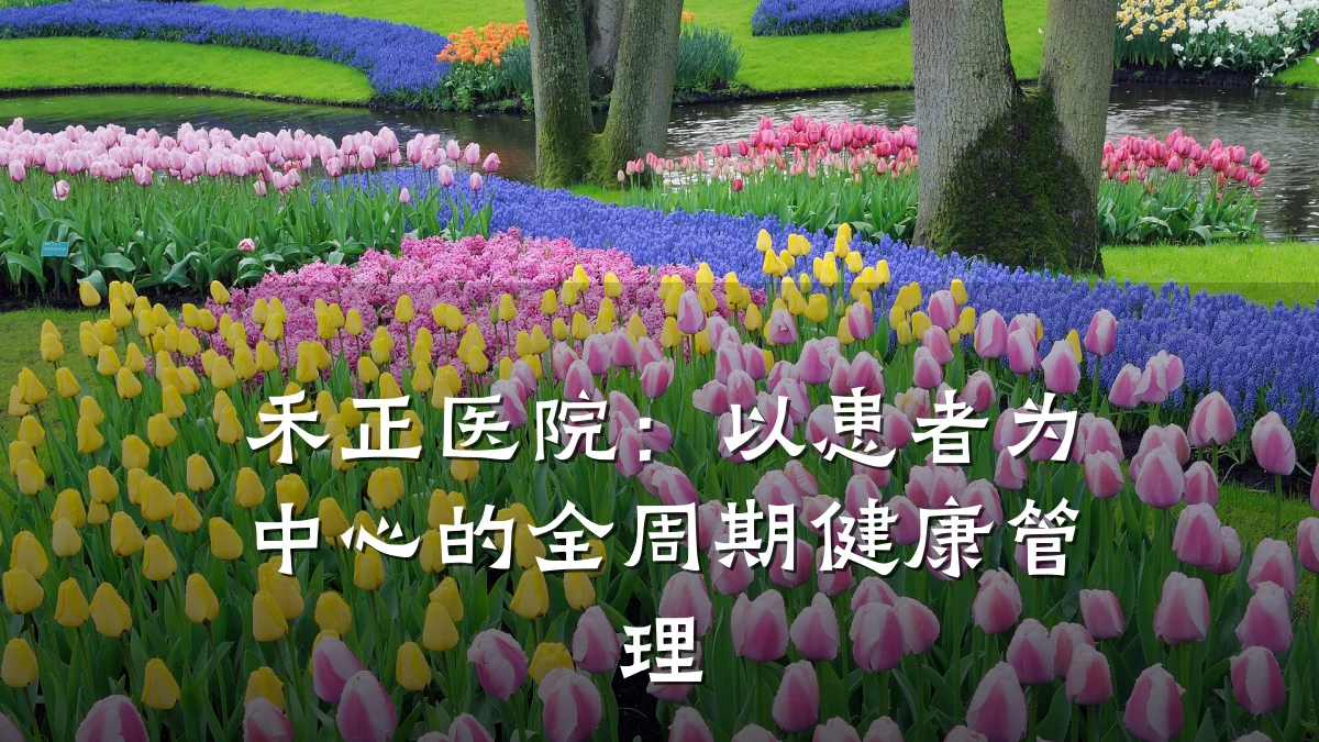 禾正医院:以患者为中心的全周期健康管理