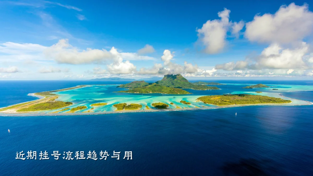 近期挂号流程趋势与用