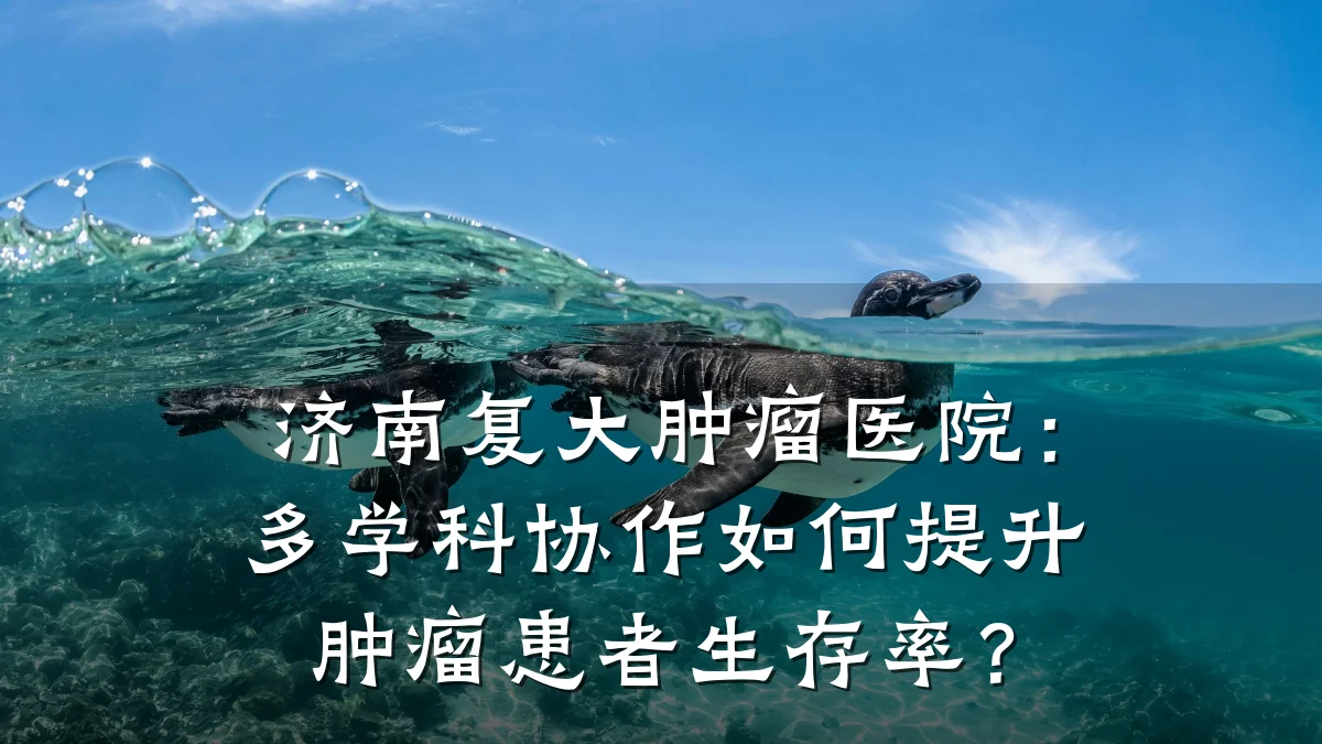 济南复大肿瘤医院:多学科协作如何提升肿瘤患者生存率?