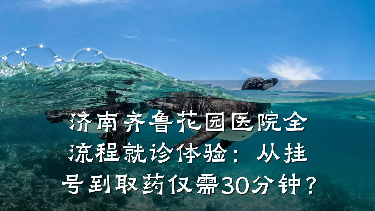 济南齐鲁花园医院全流程就诊体验:从挂号到取药仅需30分钟?