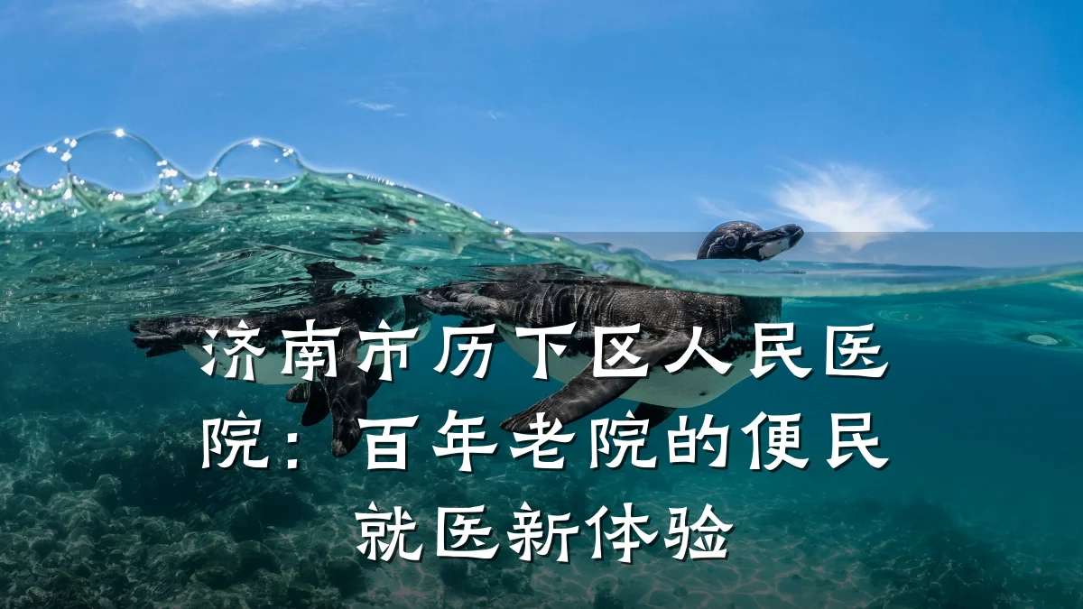 济南市历下区人民医院：百年老院的便民就医新体验