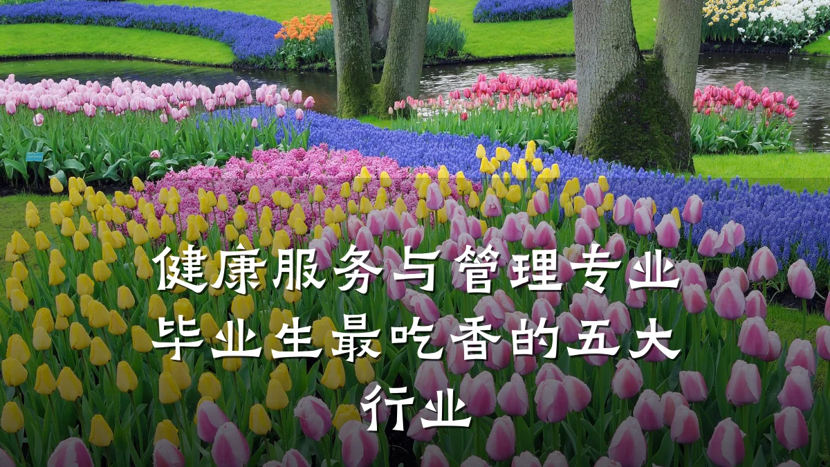 健康服务与管理专业毕业生最吃香的五大行业